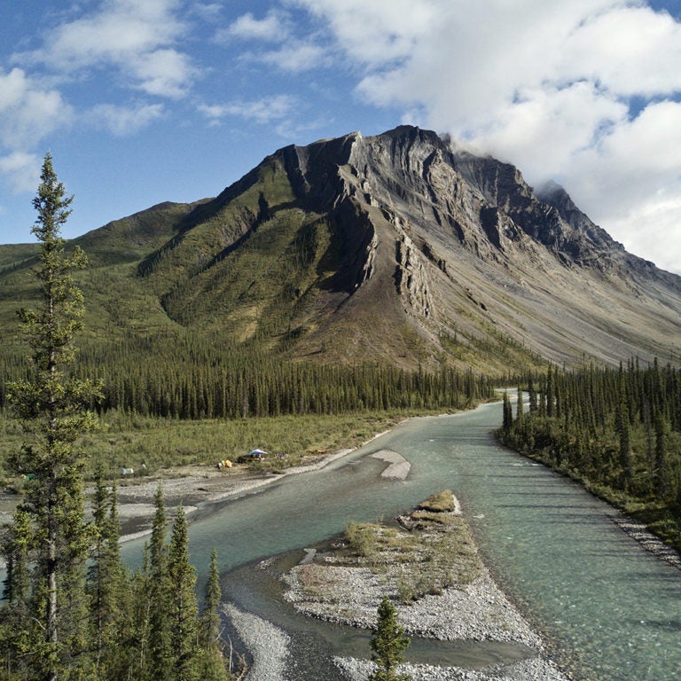Naatsihchoh Nahanni National Park NWT (Black Feather)